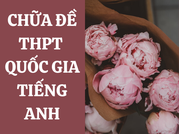 Đề thi thpt quốc gia 2019 môn anh pdf tỉnh Nghệ An - phần 2