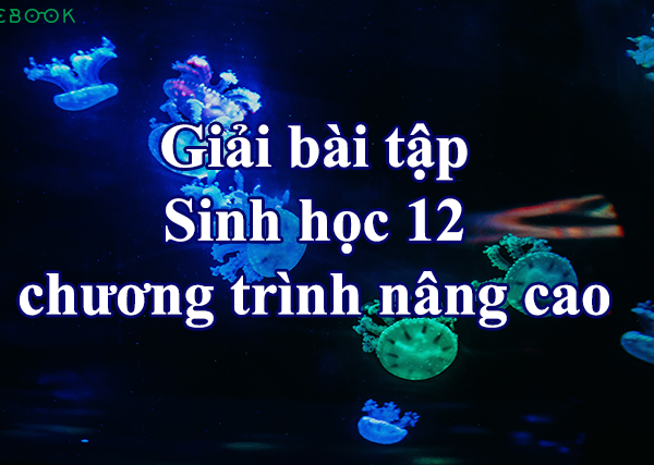 Công thức giải bài tập Sinh học 12 chương trình nâng cao siêu tốc