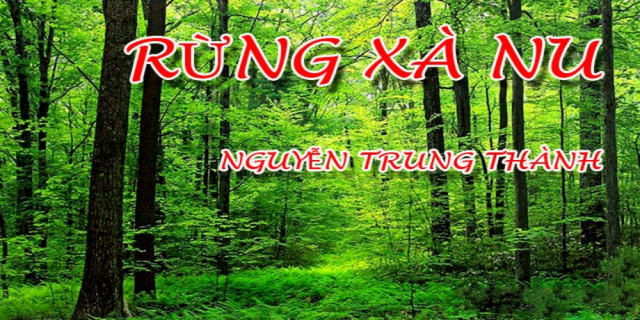 Phân tích hình tượng rừng xà nu - Nguyễn Trung Thành (dàn ý)