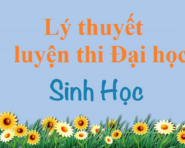 Tổng hợp lý thuyết Sinh học luyện thi đại học siêu tốc cho teen 2k1