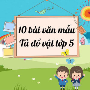 Tuyển tập 10 bài văn tả đồ vật lớp 5 được điểm cao nhất