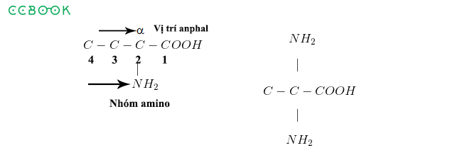 Khoanh vùng kiến thức anpha amino axit vừa khít để thi THPT Quốc gia