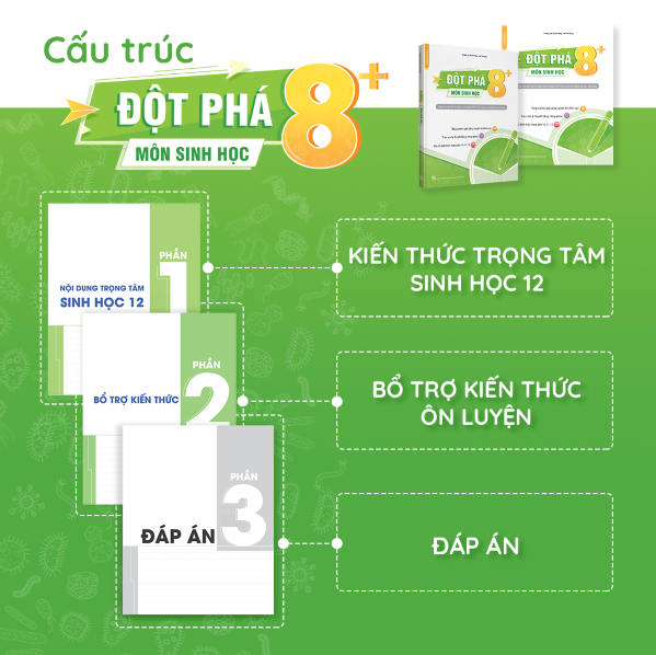 Cấu trúc sách Đột phá 8+ môn Sinh học (tái bản mới nhất)