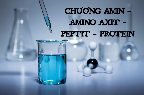Hệ thống hóa kiến thức chương amin - amino axit - peptit - protein