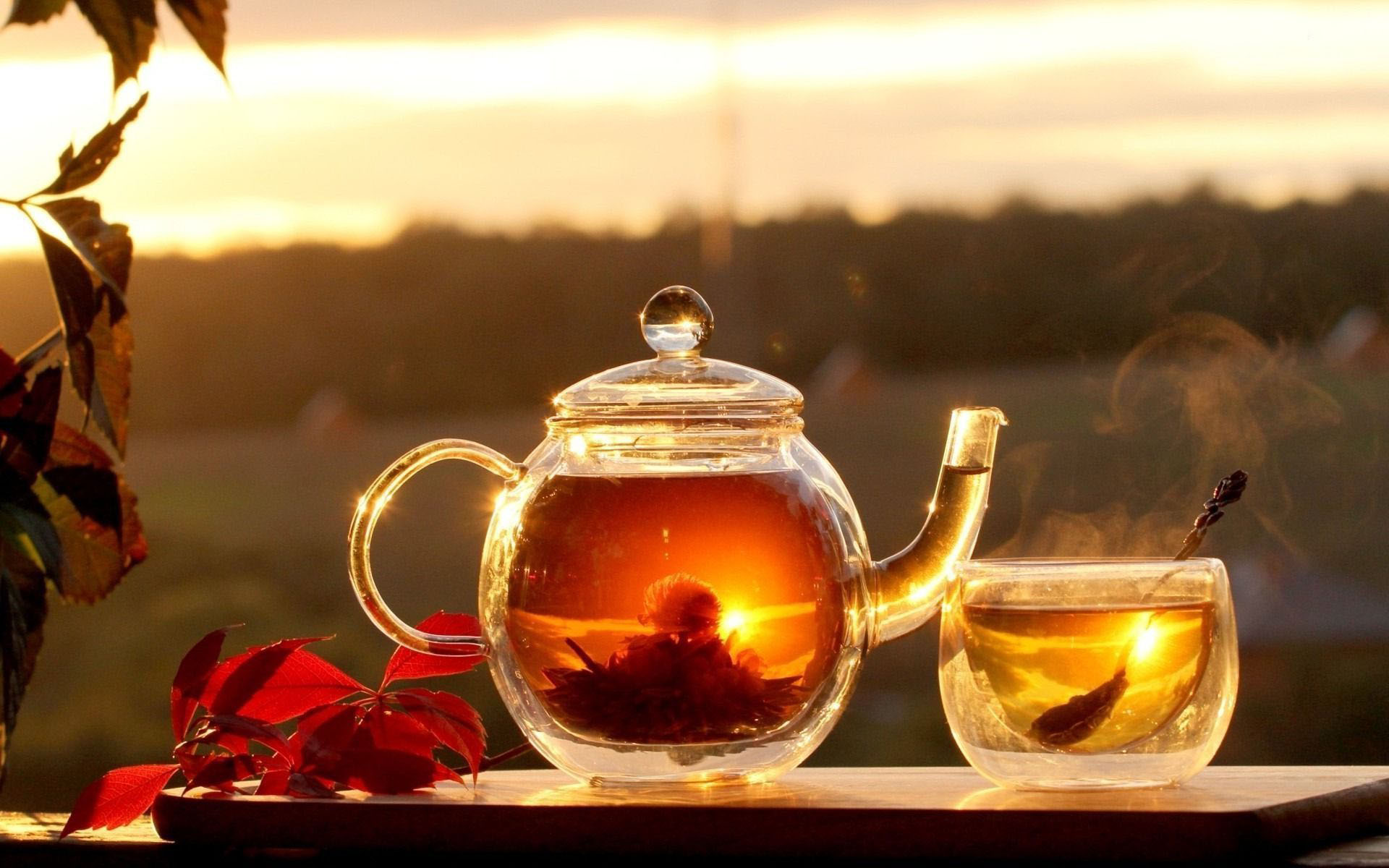 Các loại trà thượng hạng nổi tiếng ở Việt Nam