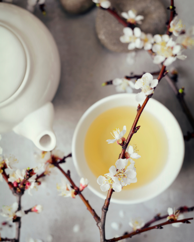 Vì sao trà trắng có thể chống lão hóa tốt hơn cả trà xanh?