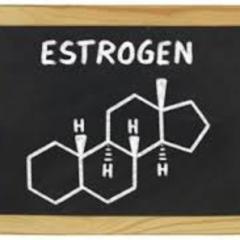 Estrogen là gì và có vai trò gì?