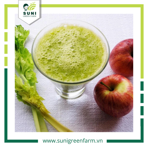 REVIEW NƯỚC ÉP CẦN TÂY MẬT ONG GIẢM CÂN