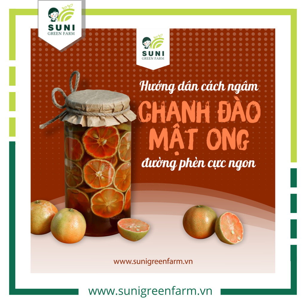 HƯỚNG DẪN CÁCH NGÂM CHANH ĐÀO CỰC NGON