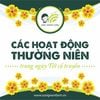 CÁC HOẠT ĐỘNG TRUYỀN THỐNG DÂN GIAN NGÀY TẾT CỔ TRUYỀN VIỆT NAM