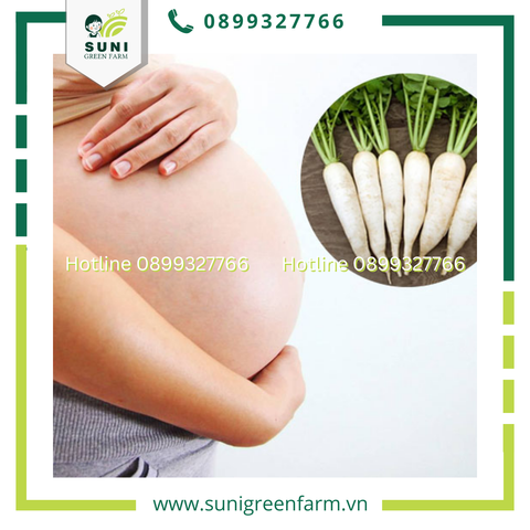 MẸ BẦU ĂN CỦ CẢI TRẮNG CÓ TỐT KHÔNG?