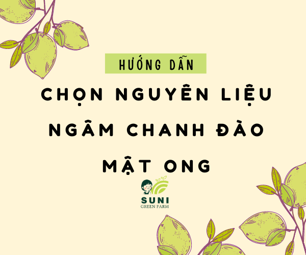 CHỌN NGUYÊN LIỆU LÀM CHANH ĐÀO MẬT ONG CỰC NGON