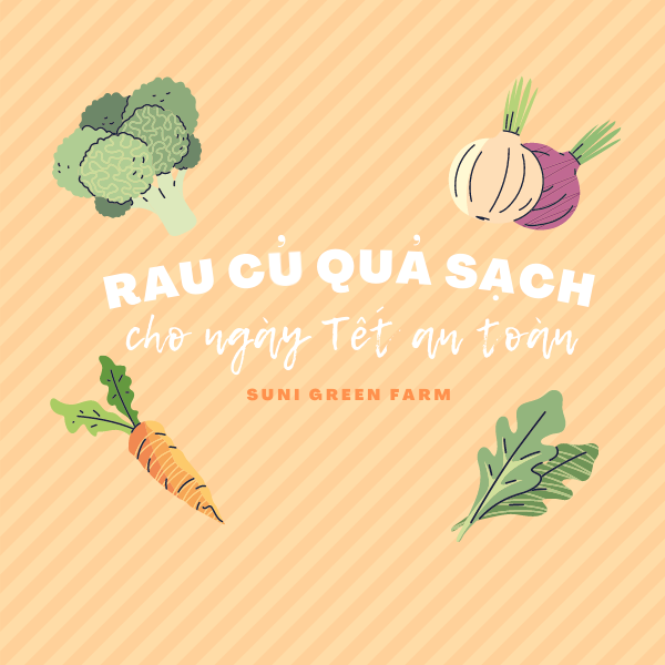 RAU CỦ QUẢ SẠCH CHO NGÀY TẾT AN TOÀN