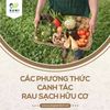 CÁC PHƯƠNG THỨC CANH TÁC RAU SẠCH HỮU CƠ