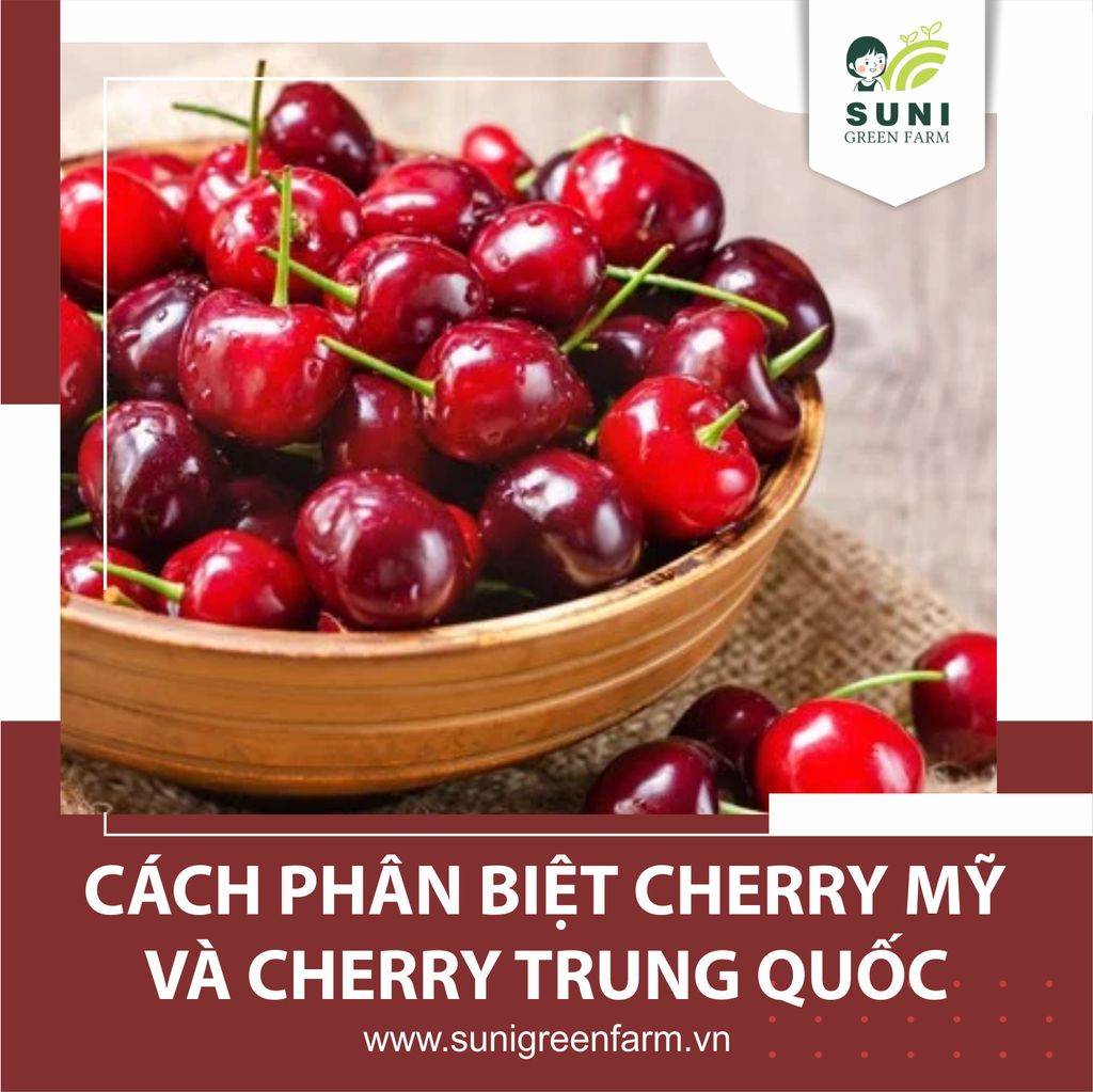 CÁCH PHÂN BIỆT CHERRY MỸ VÀ CHERRY TRUNG QUỐC