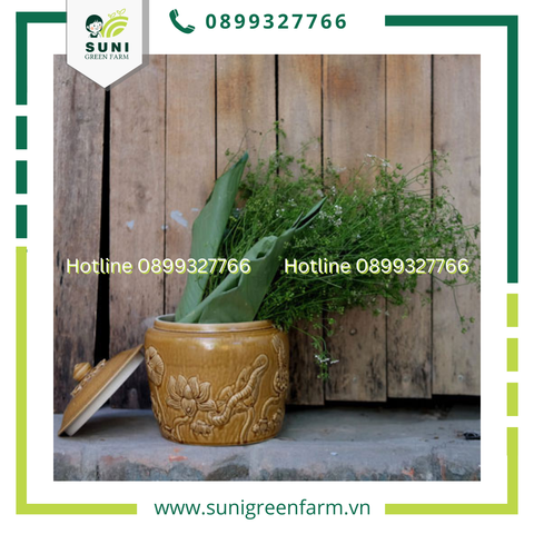 TẮM NƯỚC RAU MÙI GIÀ NGÀY TẾT ĐEM LẠI NHIỀU MAY MẮN CHO NGƯỜI VIỆT