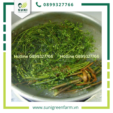 QUAN NIỆM DÂN GIAN RỬA MẶT BẰNG RAU MÙI GIÀ NGÀY TẾT CÓ TÁC DỤNG GÌ?