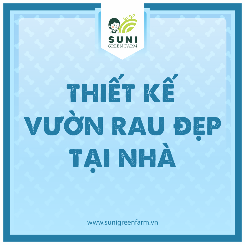 THIẾT KẾ VƯỜN RAU ĐẸP TẠI NHÀ