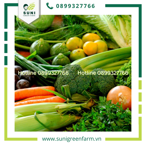 THỰC PHẨM NÊN ĂN KHI BỊ SỐT GIÚP BỒI BỔ CƠ THỂ NHANH CHÓNG