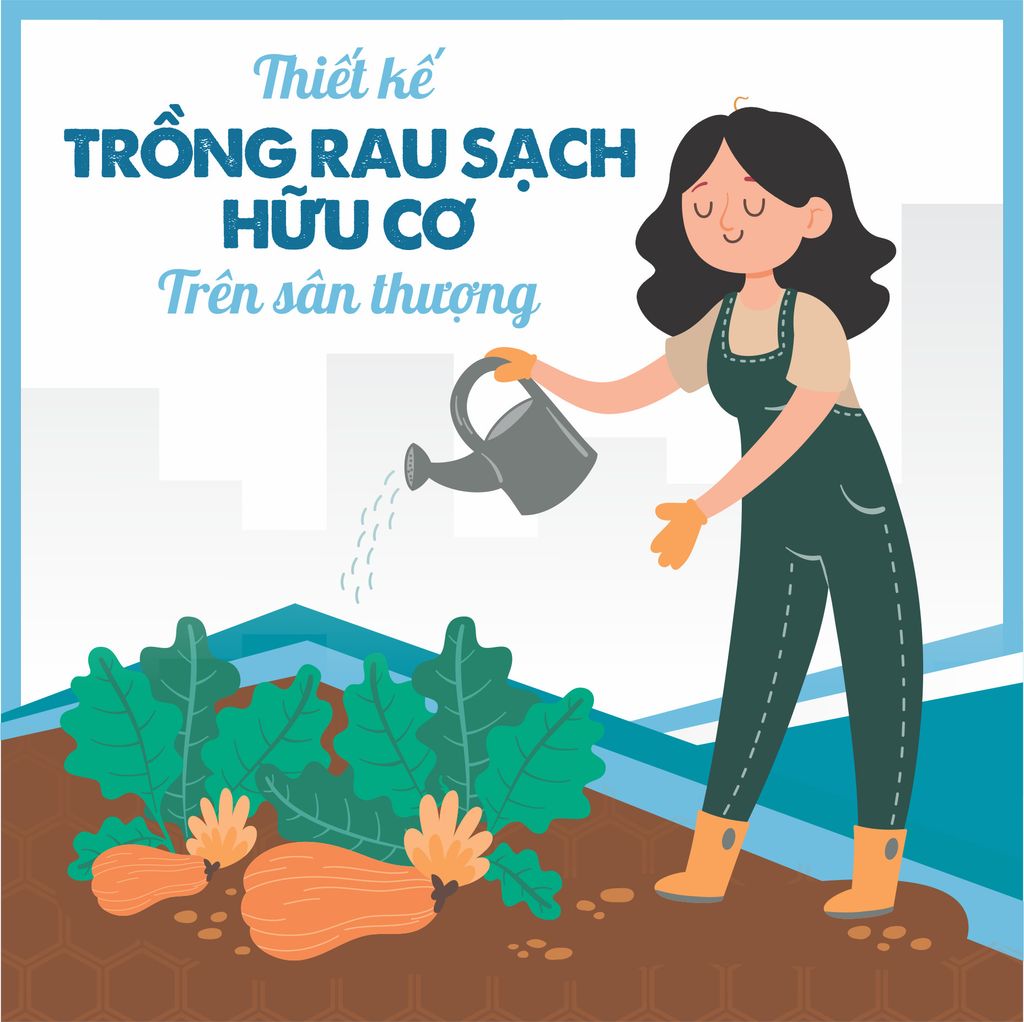 TRỒNG RAU SẠCH HỮU CƠ TRÊN SÂN THƯỢNG