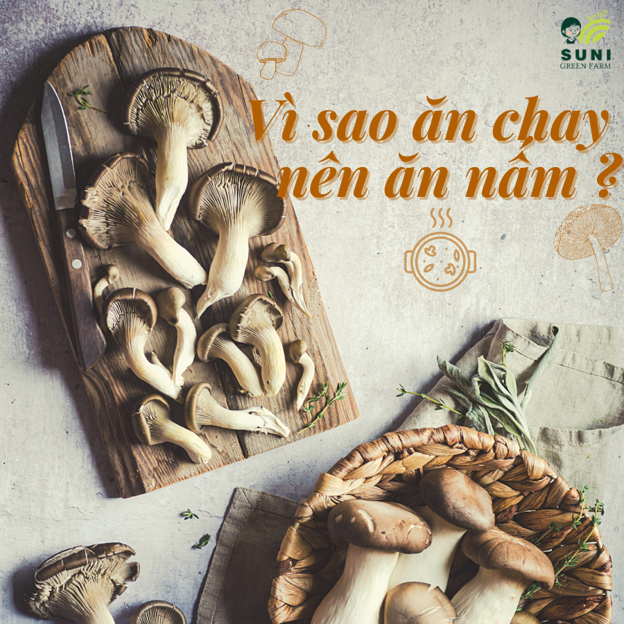 VÌ SAO ĂN CHAY THÌ NÊN ĂN NẤM ?