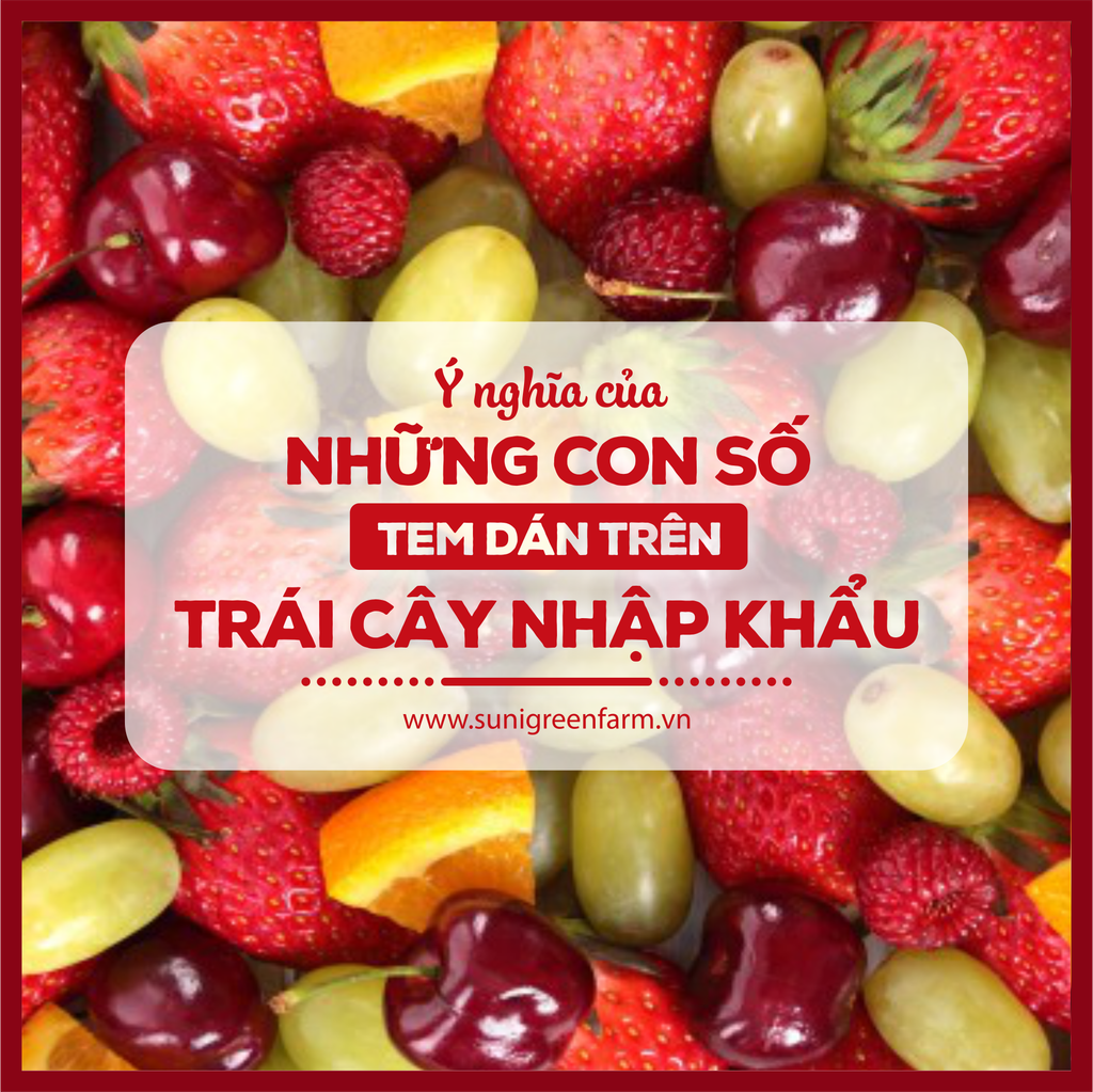 Ý NGHĨA CỦA NHỮNG CON SỐ TEM DÁN TRÊN TRÁI CÂY NHẬP KHẨU