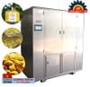 Thiết Bị Sấy Chân Không Là Gì? Nguyên Lý Hoạt Động Và Ứng Dụng Thực Tế