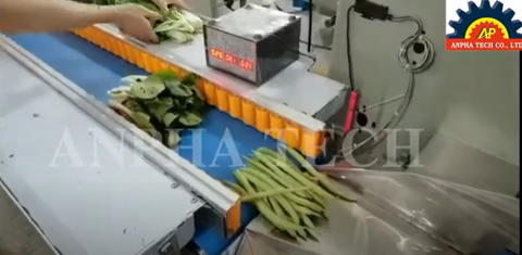 Máy đóng gói rau củ quả Anpha Tech ISO 9001:2015 Made In Vietnam