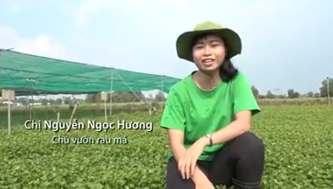 Máy đóng gói bột rau má Anpha Tech ISO 9001:2015 Made In Vietnam