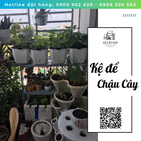 kệ để chậu cây