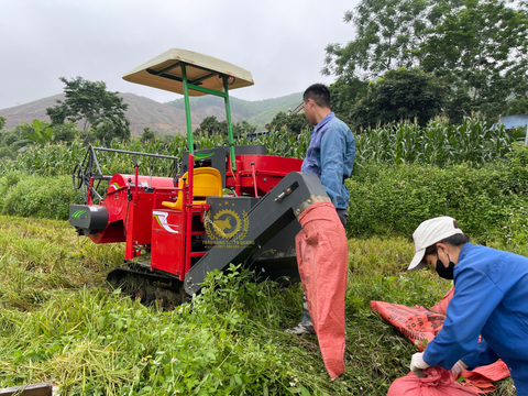 Hệ thống hút thóc ra bao của máy gặt mini 1.6 Cros sẽ như thế nào?