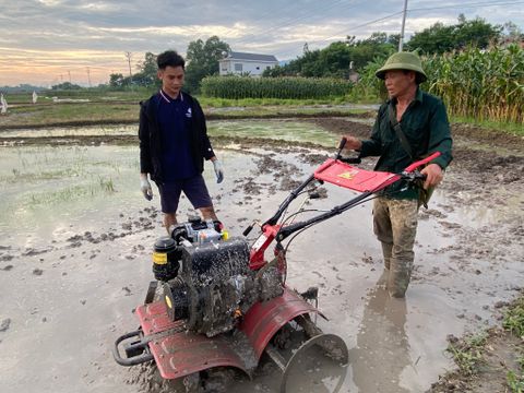 Máy Xới Đất 178 KA Trâu Vàng - Trâu Vàng Tuyên Quang