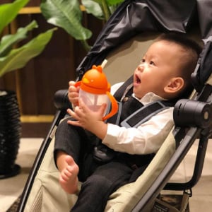 CÓ BÌNH NƯỚC GÀ CON LOLLALAND, UỐNG NƯỚC TRỞ THÀNH NIỀM VUI CỦA CON