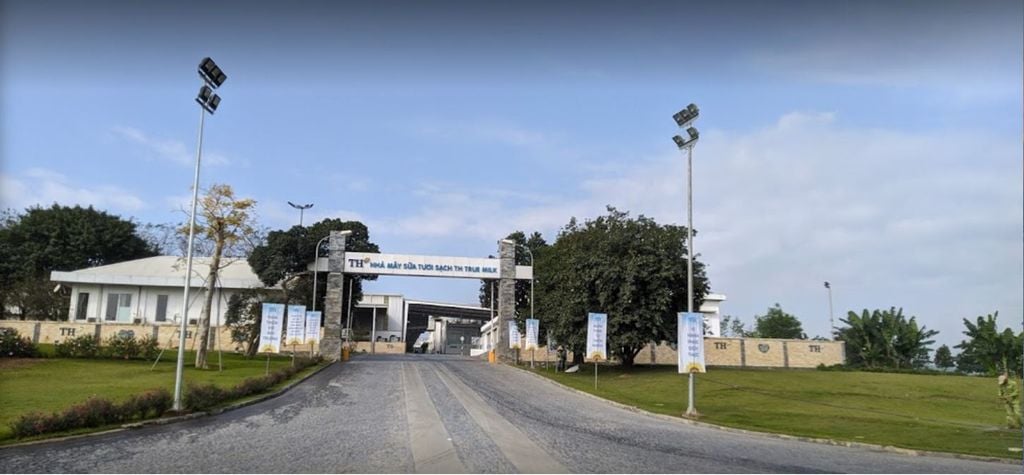 YOUGURT INCUBATION & PASTEURIZATION SYSTEM – TH TRUE MILK, VN (2019)