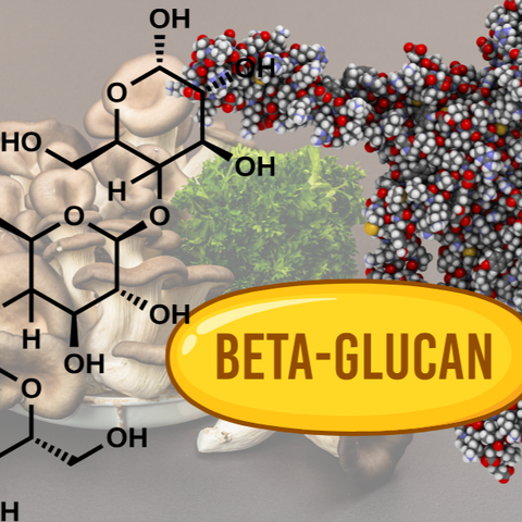 Beta Glucan là gì? Tất tần tật thông tin về Beta Glucan và lợi ích cho sức khỏe
