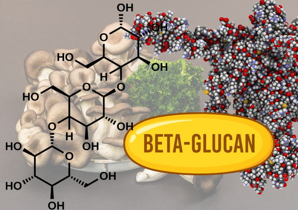 Beta Glucan là gì? Tất tần tật thông tin về Beta Glucan và lợi ích cho sức khỏe