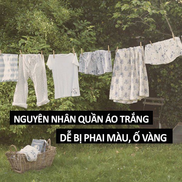 Nếu bạn đang lo lắng về nguyên nhân phai màu quần áo trắng của mình, hãy đến với chúng tôi. Chúng tôi có những bí quyết tẩy trắng hiệu quả nhất giúp giải quyết vấn đề này. Bạn sẽ nhận thấy sự khác biệt qua hình ảnh của chúng tôi và tin tưởng rằng quần áo của bạn sẽ trở lại sáng bóng và trắng tinh khiết một lần nữa.