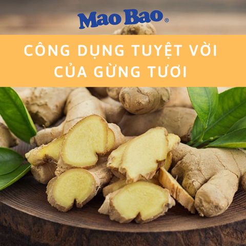 CÔNG DỤNG TUYỆT VỜI CỦA GỪNG TƯƠI