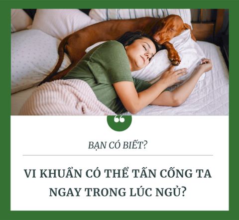 BẠN CÓ TIN, VI KHUẨN TẤN CÔNG TA NGAY TRONG LÚC NGỦ?