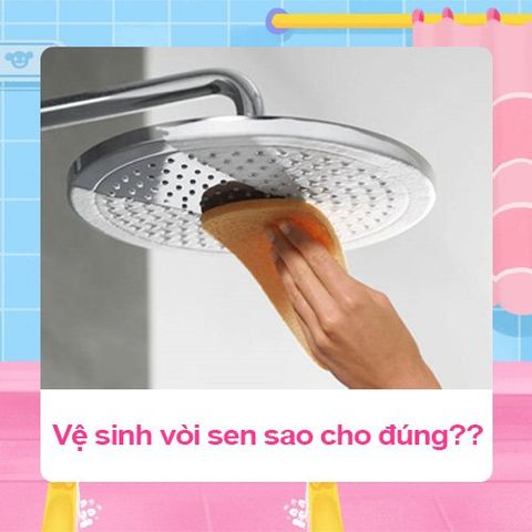 VỆ SINH VÒI SEN SAO CHO ĐÚNG !?