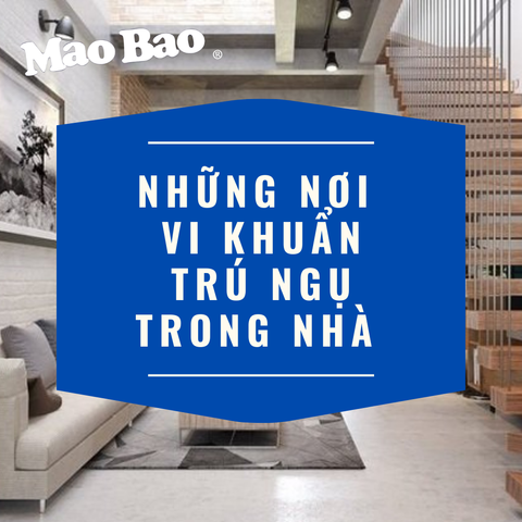 NHỮNG NƠI MÀ VI KHUẨN DỄ TÍCH TỤ TRONG NHÀ