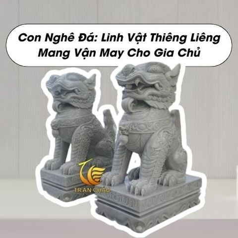 7 Câu Hỏi Thường Gặp Về Con Nghê Đá