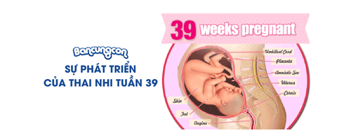 Sự Phát Triển Của Thai Nhi Tuần 39 - Những Điều Cần Biết