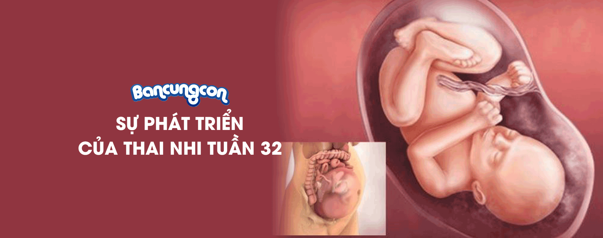 Sự Phát Triển Của Thai Nhi Tuần 32 - Những Điều Cần Biết