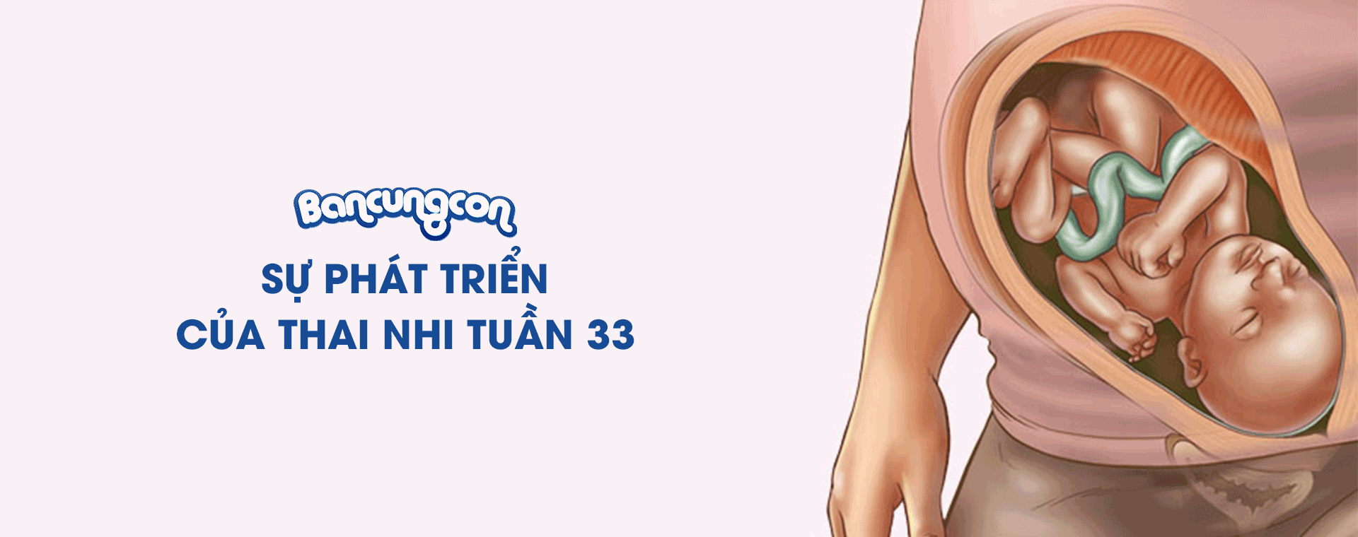 Sự Phát Triển Của Thai Nhi Tuần 33 - Những Điều Cần Biết