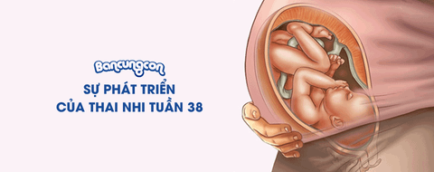 Sự Phát Triển Của Thai Nhi Tuần 38 - Những Điều Cần Biết