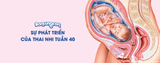 Sự Phát Triển Của Thai Nhi Tuần 40 - Những Điều Cần Biết