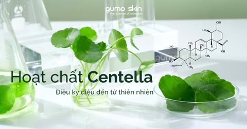 Tất tần tật về hoạt chất dưỡng da – Centella