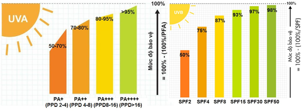 Ý nghĩa hai chỉ số quan trọng trên kem chống nắng
