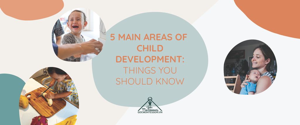 5 MAIN AREAS OF CHILD DEVELOPMENT: THINGS YOU SHOULD KNOW